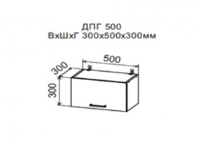 Шкаф верхний ДПГ500 горизонтальный в Среднеуральске - sredneuralsk.магазин96.com | фото