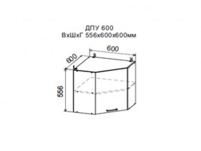 Шкаф верхний ДПУ600 угловой в Среднеуральске - sredneuralsk.магазин96.com | фото